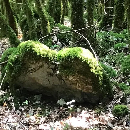 Casa di campagna Et Salle De Bain Privé S'ouvrant Sur Terrasse, Jardin Et Cuisine D'été