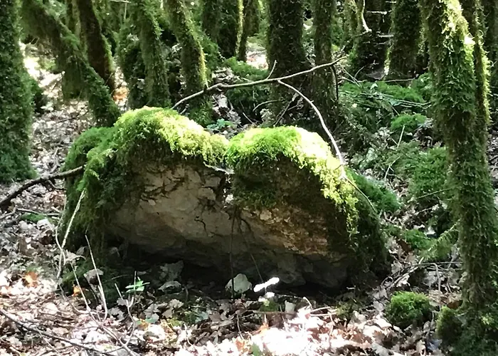 Gospodarstwo wiejskie Et Salle De Bain Prive S'ouvrant Sur Terrasse, Jardin Et Cuisine D'ete